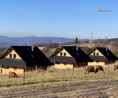 Inwestycja w góralskim stylu: 3 domy z bali L-306 na malowniczym wzgórzu Złoty Groń