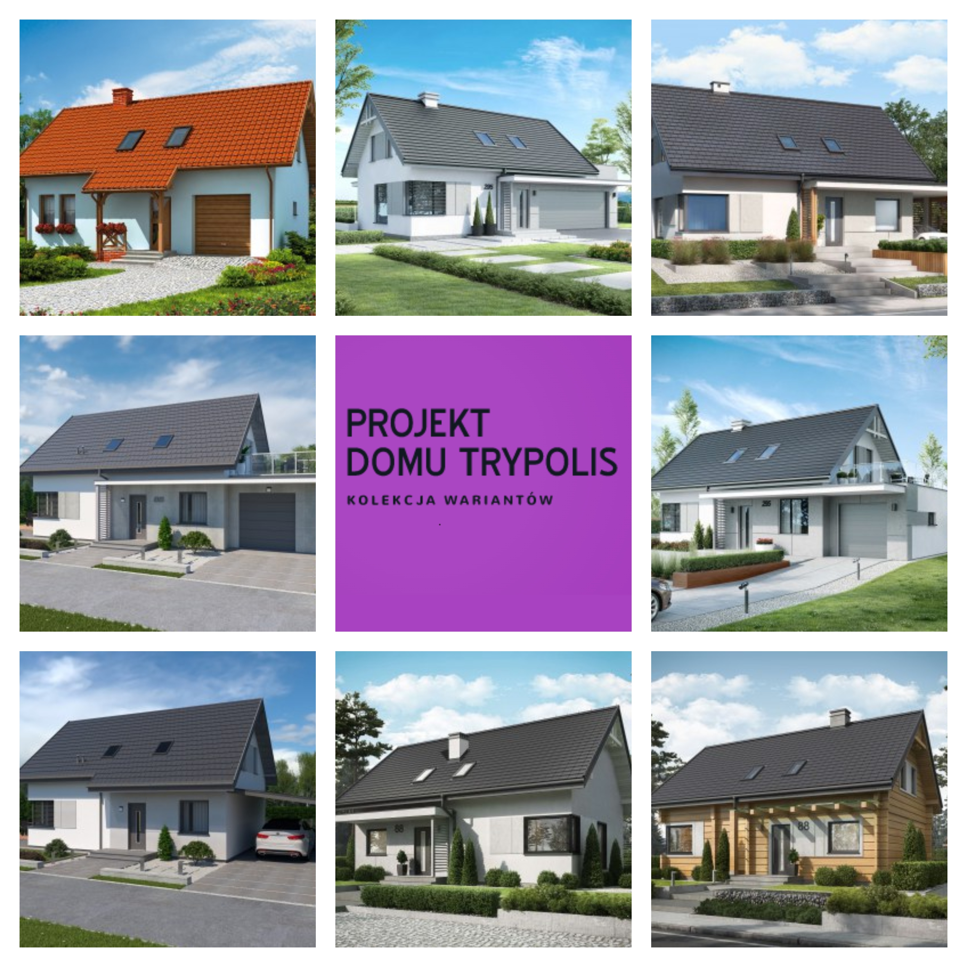 projekt domu Trypolis